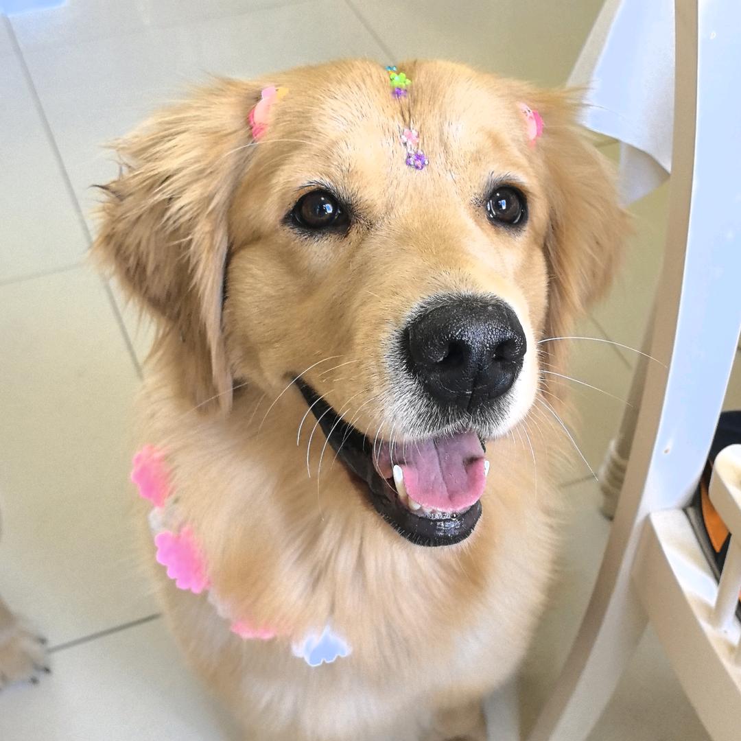 刘大毛的快乐生活