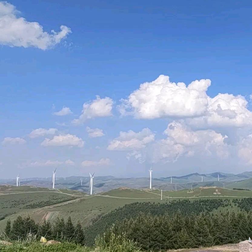 LI