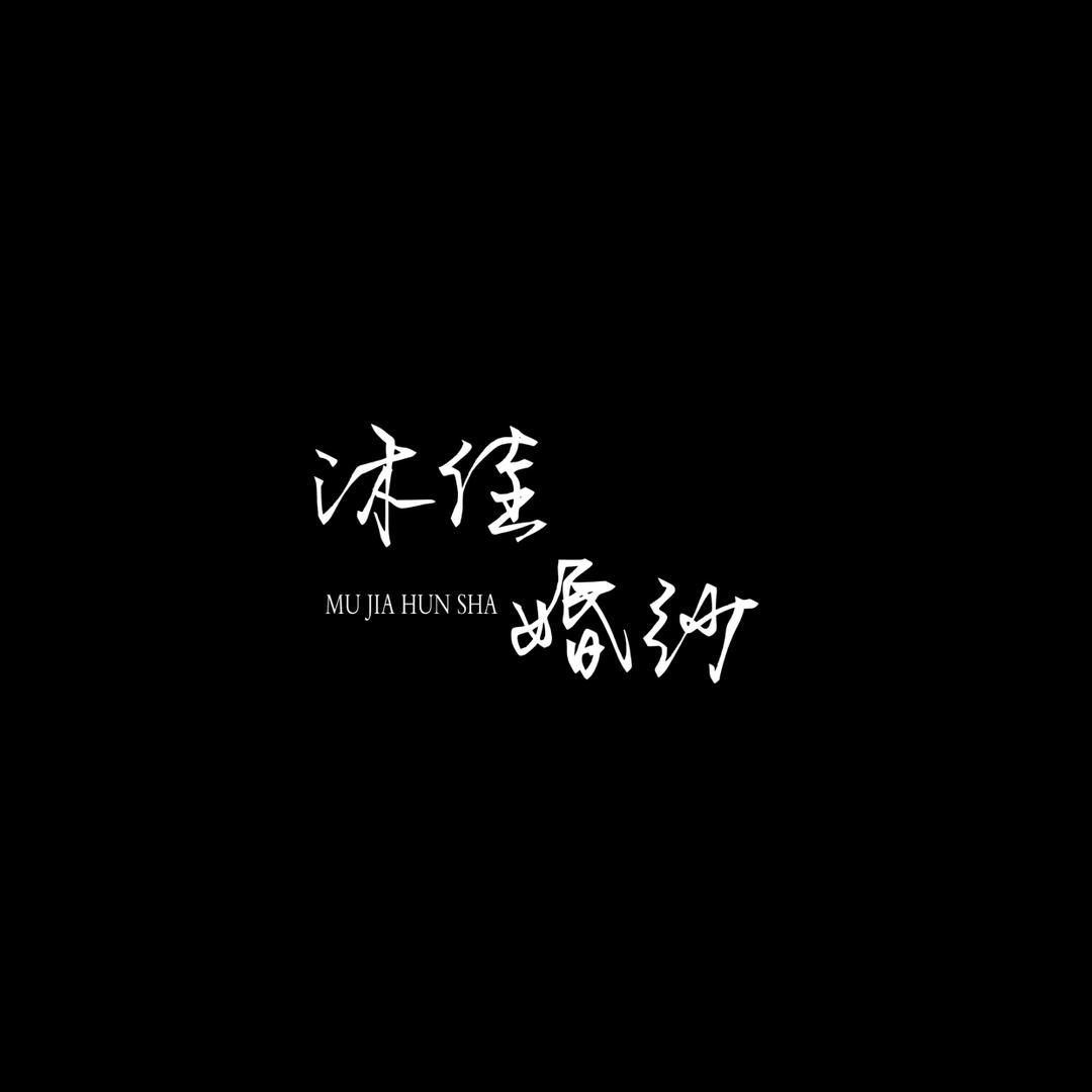 沐佳婚纱-壹壹