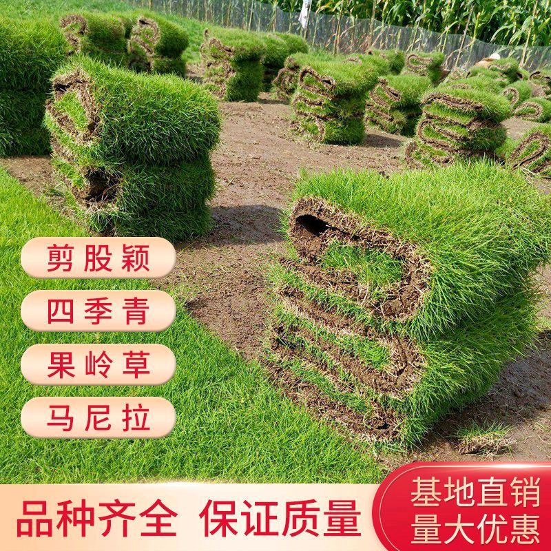 一片豪源苗木园艺场