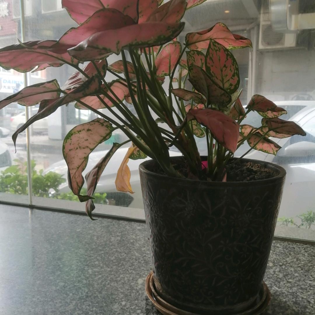 用户8204357783195髙