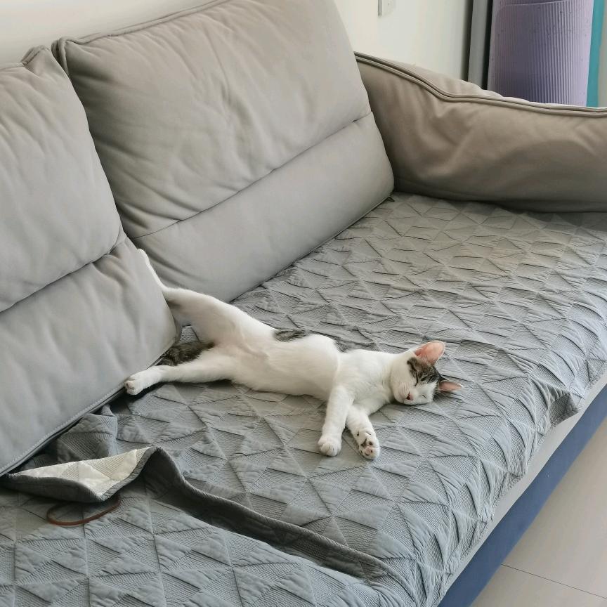 悠闲一点