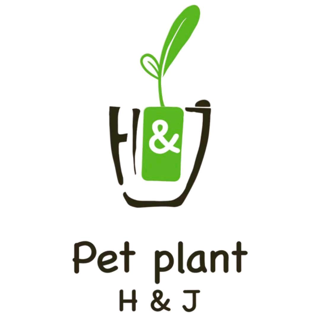 植宠绿植