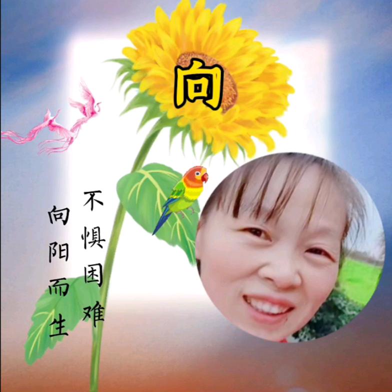 小阳(直播筹备中)