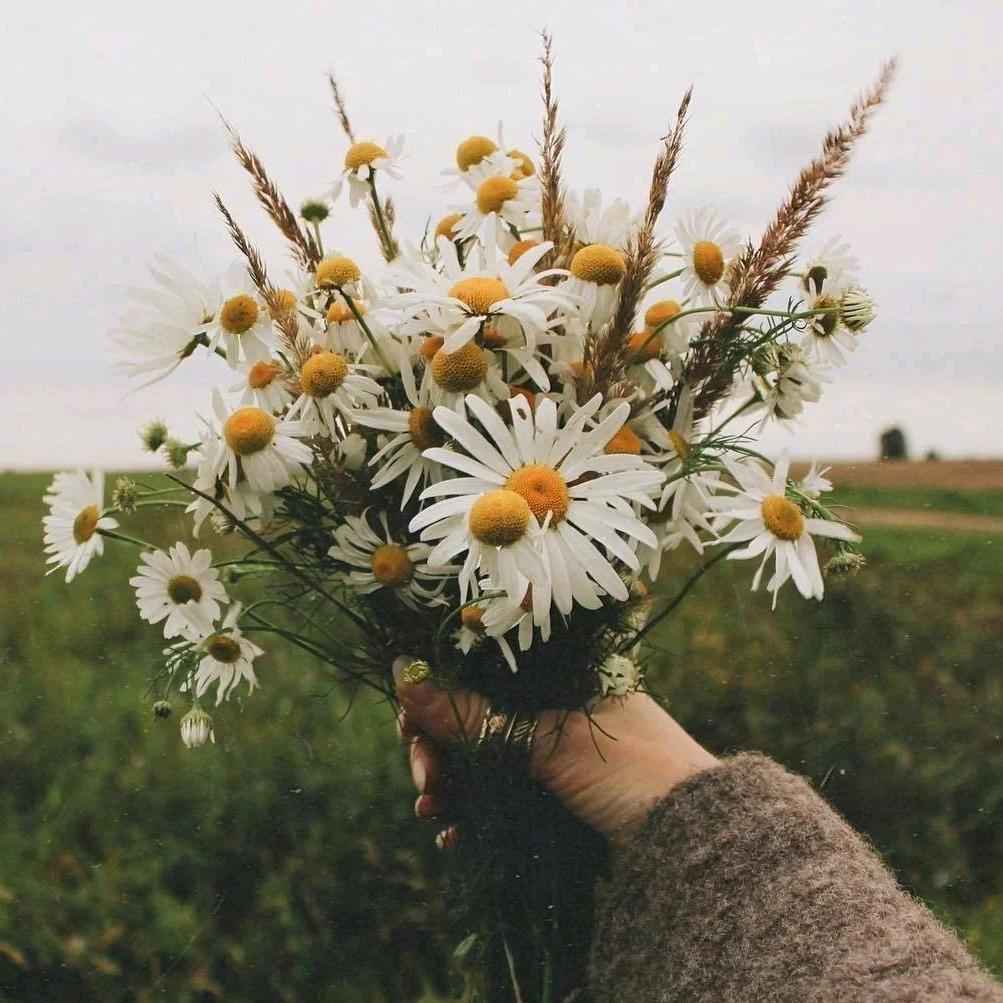 爱摄影的搬运工