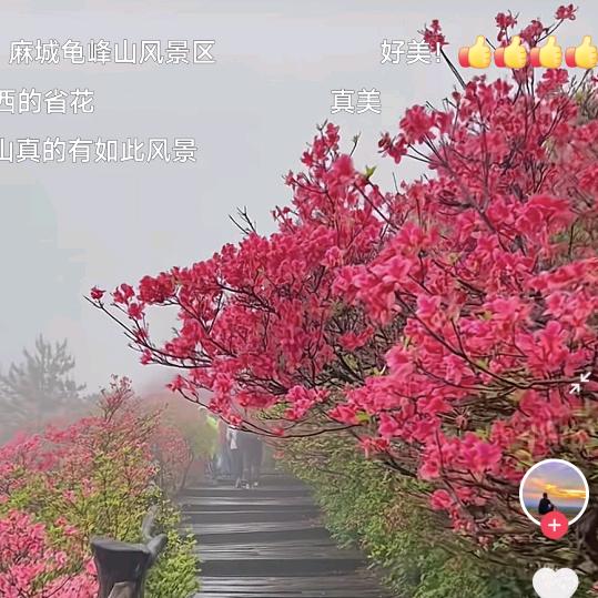 守护健康韩老师