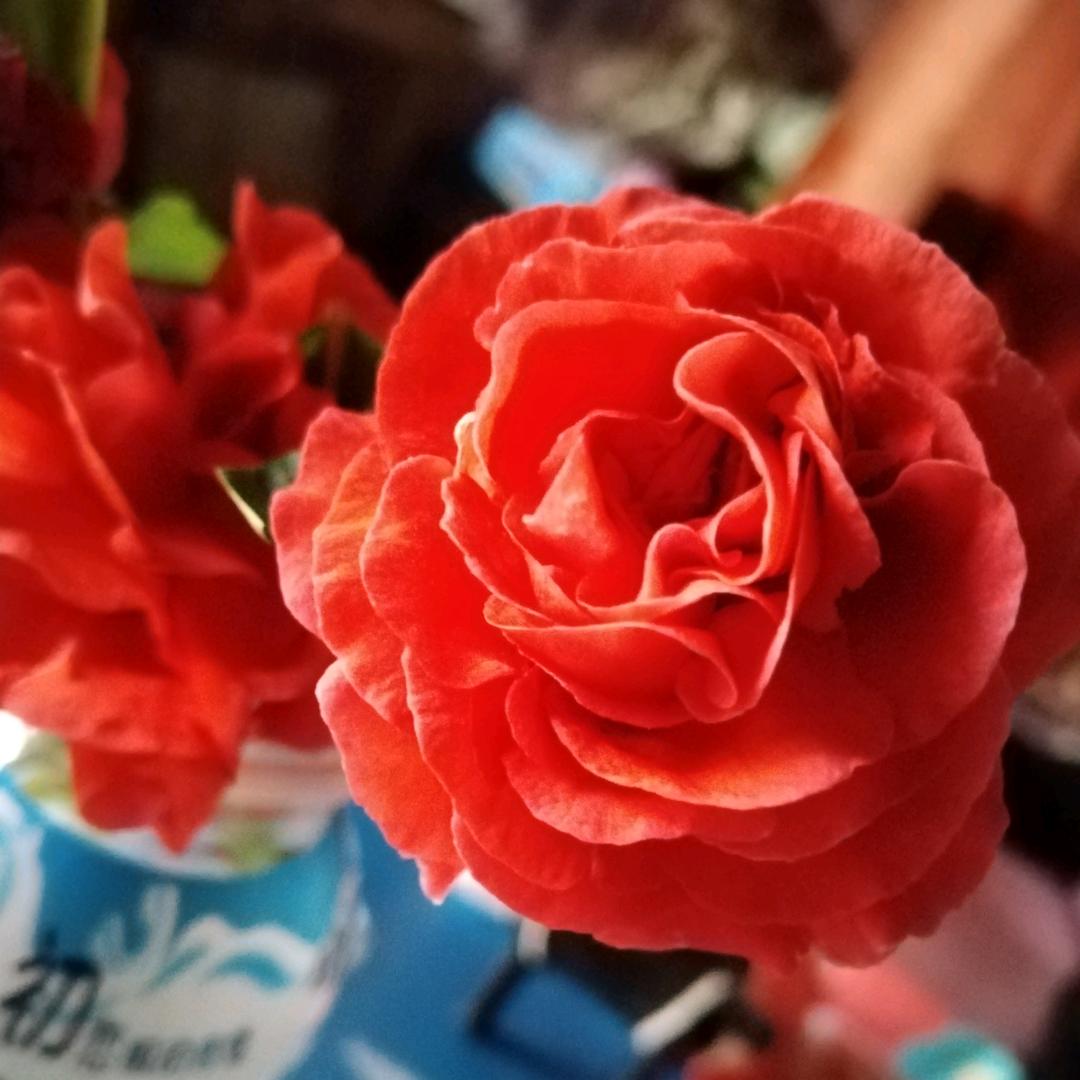 💖赶不上时代💞