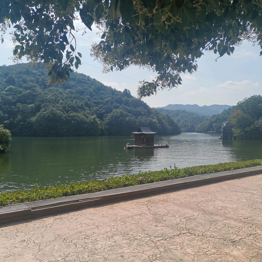 秦姐在武汉