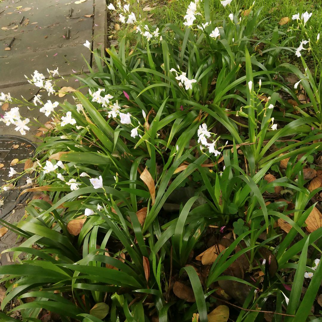 同时获得一无所有