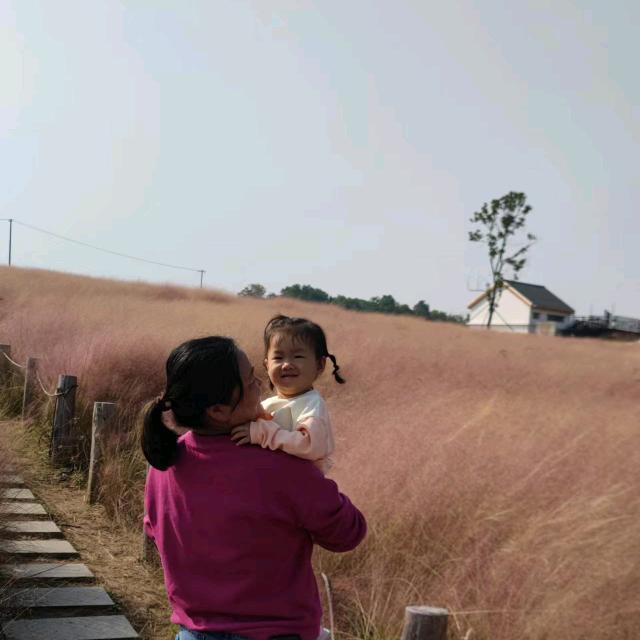 飞美静宇