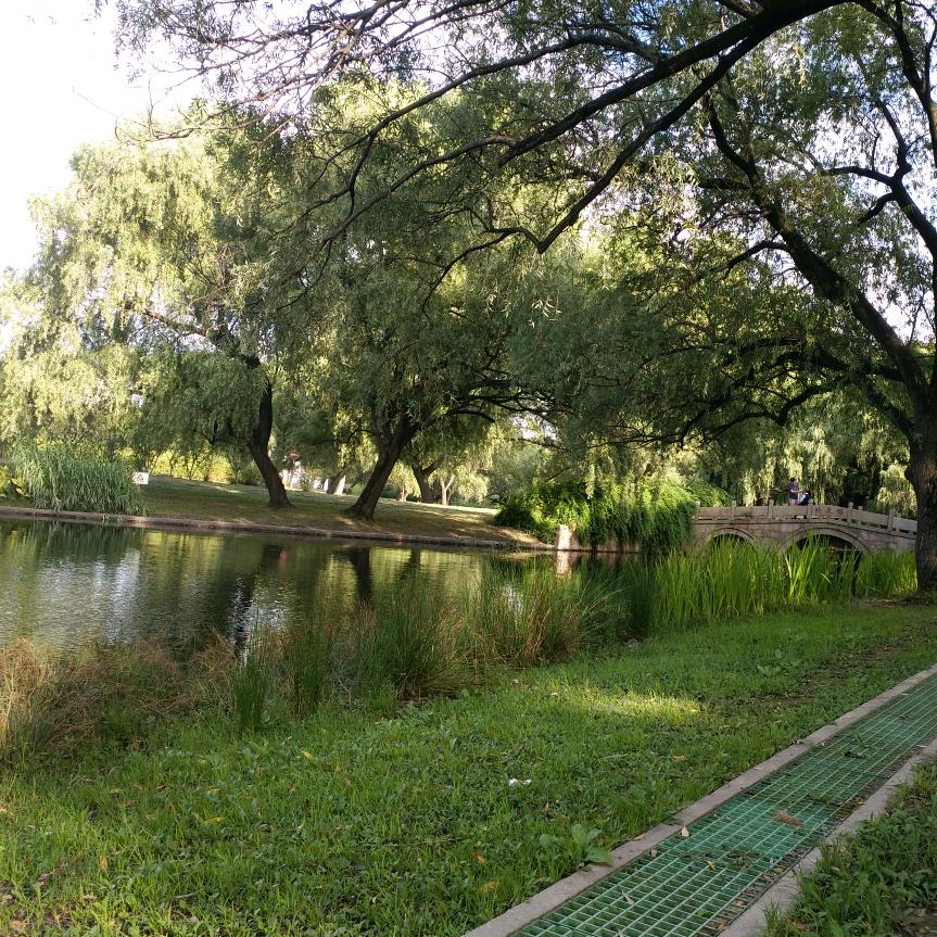 🍒ℳ̶̶̶̶໌໌້ᮨ꧔ꦿ٭星辰᭄ꦿ⁵ᯤ