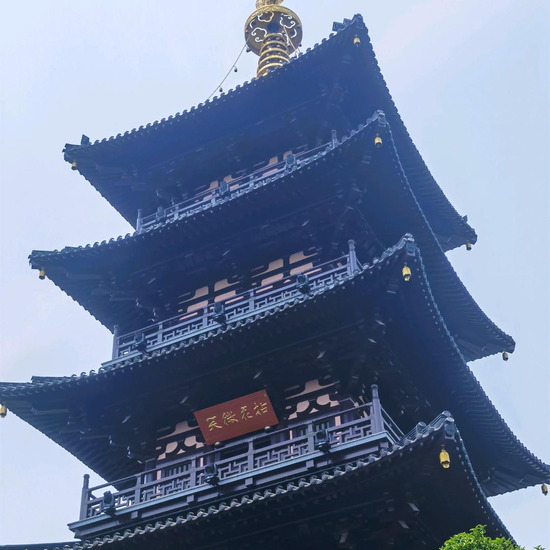 《花有重开日 @人无在少年》