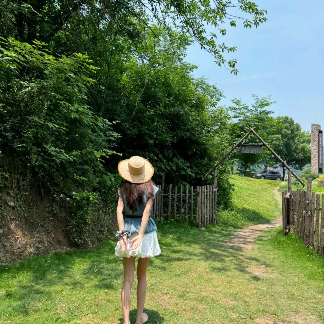 每天都想喝奶茶