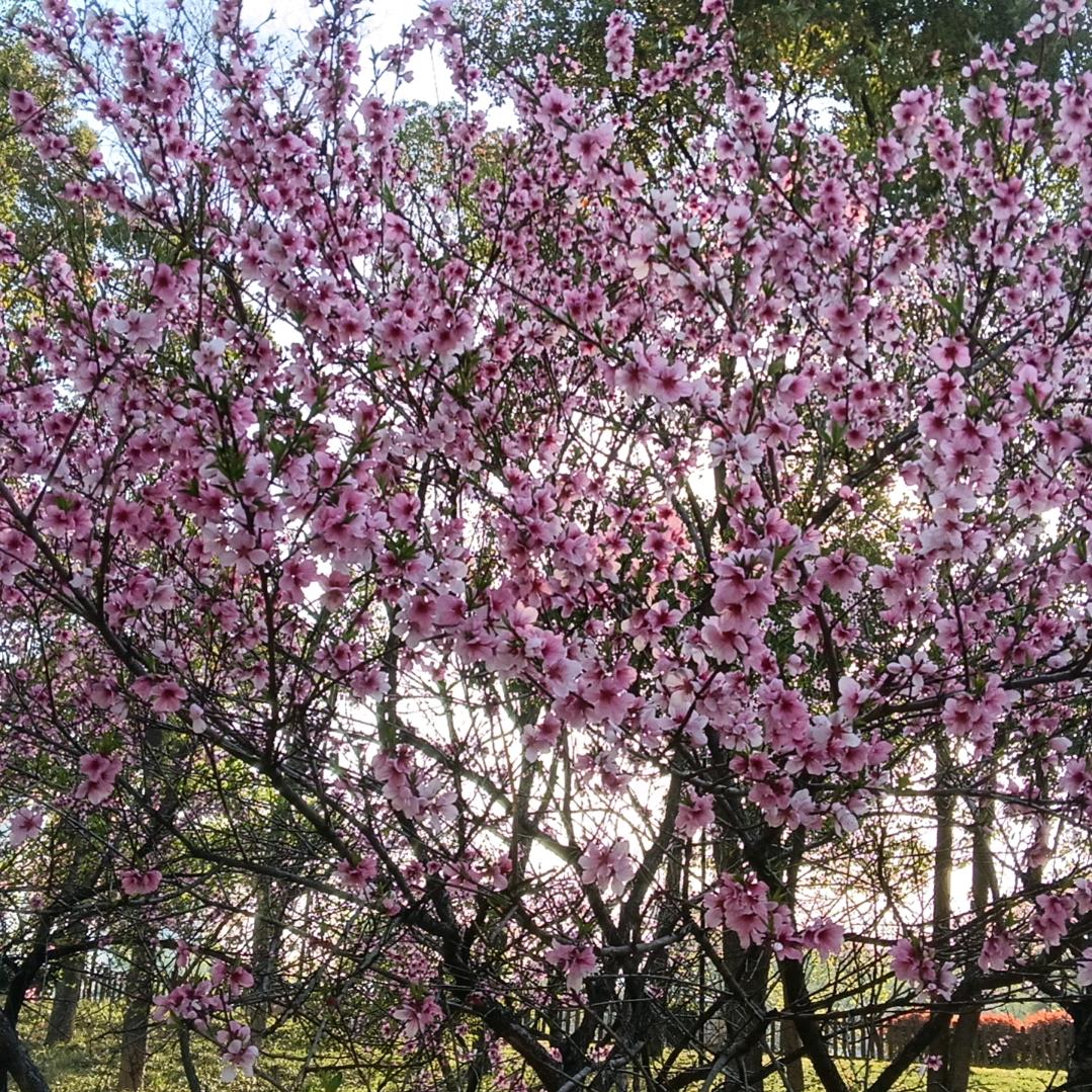 ꧁欭（yi）  惗（nian）꧂