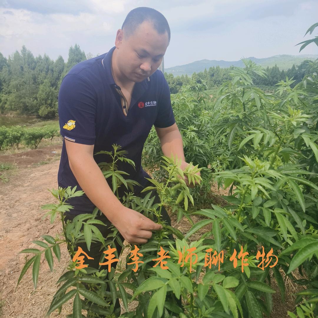 大农山东讲农业