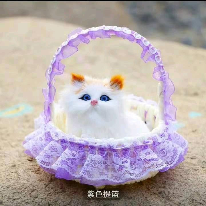 ꧁꫞꯭彼此💞守候꧔ꦿ꧂