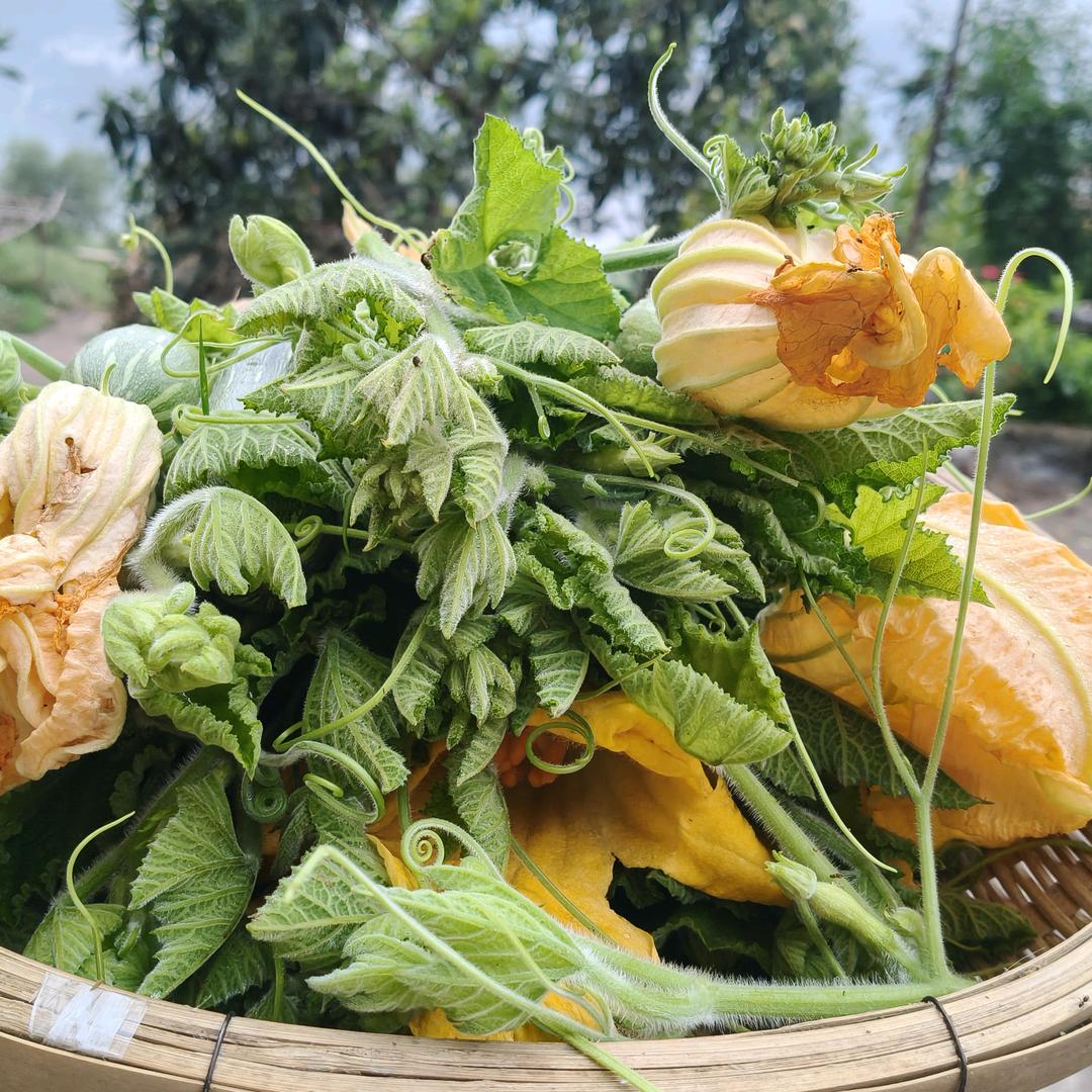 云南十三姨（386）