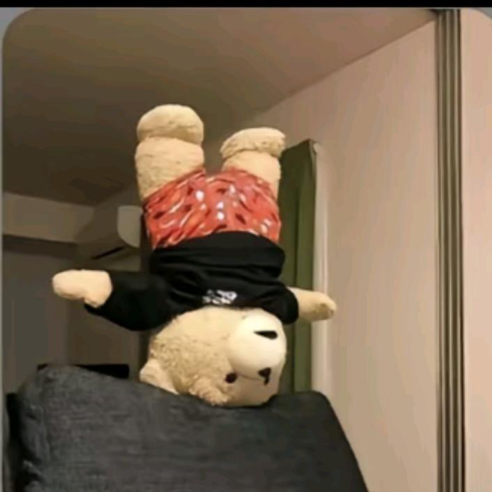 苦瓜不苦