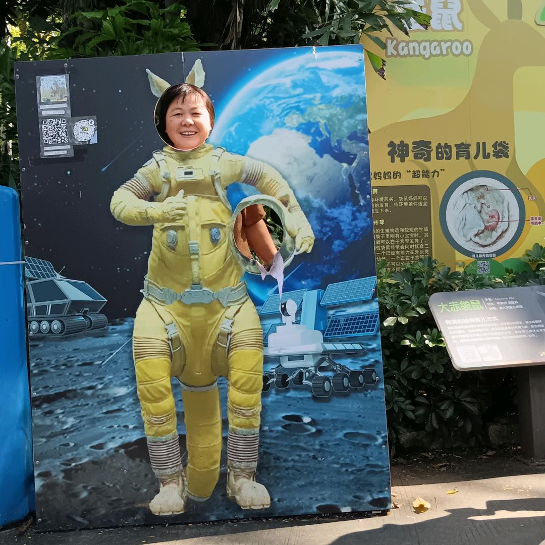元珍