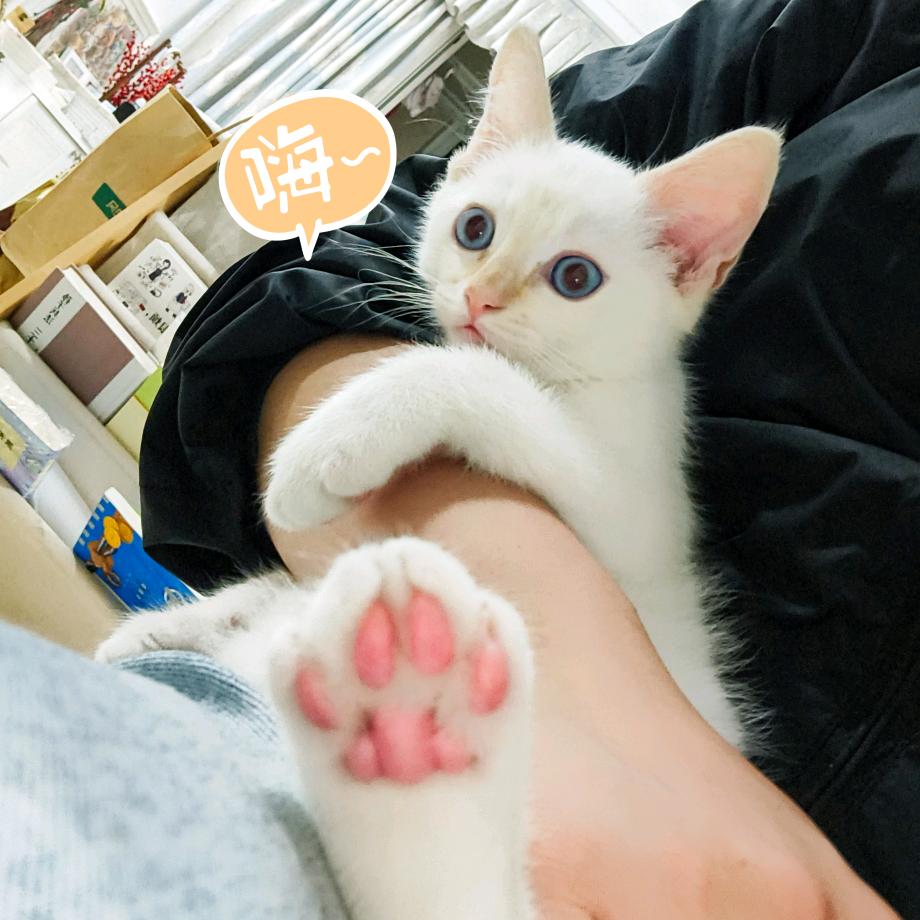 萧煌宇