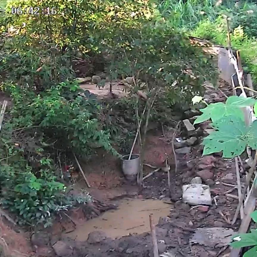 @     王 群    户外养殖场