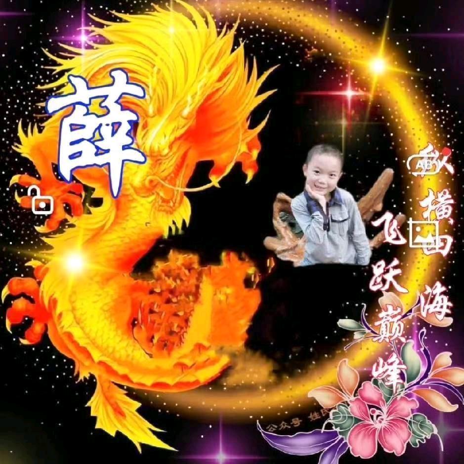 🍒🍒深山中的灵芝🍒🍒