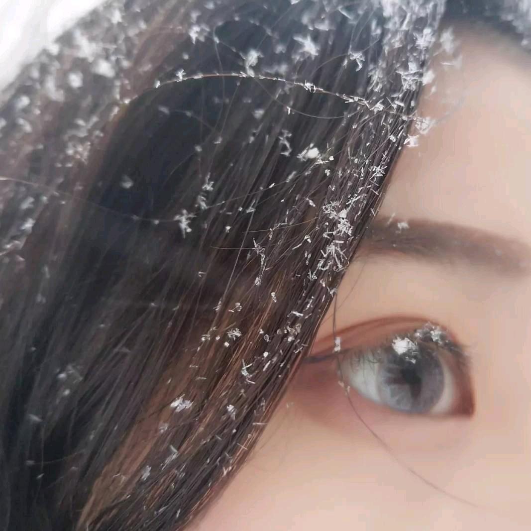 披萨鸭