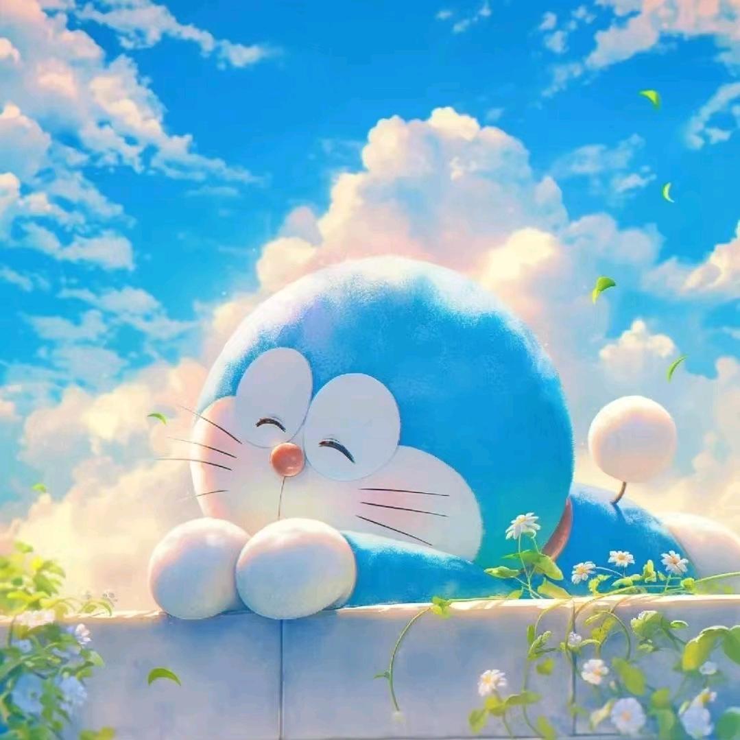 双门洞煤球终结者