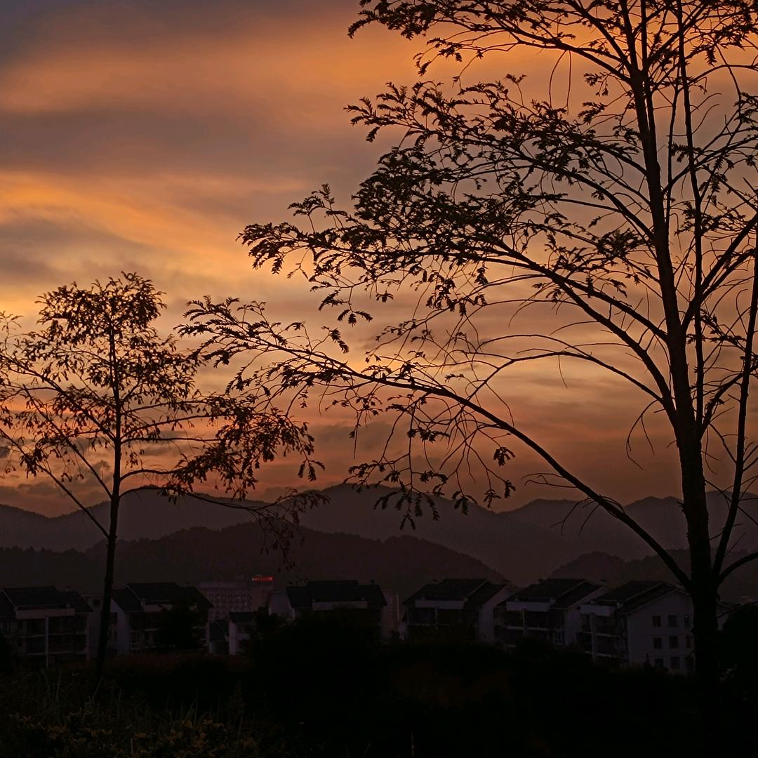 时间可以冲淡一切