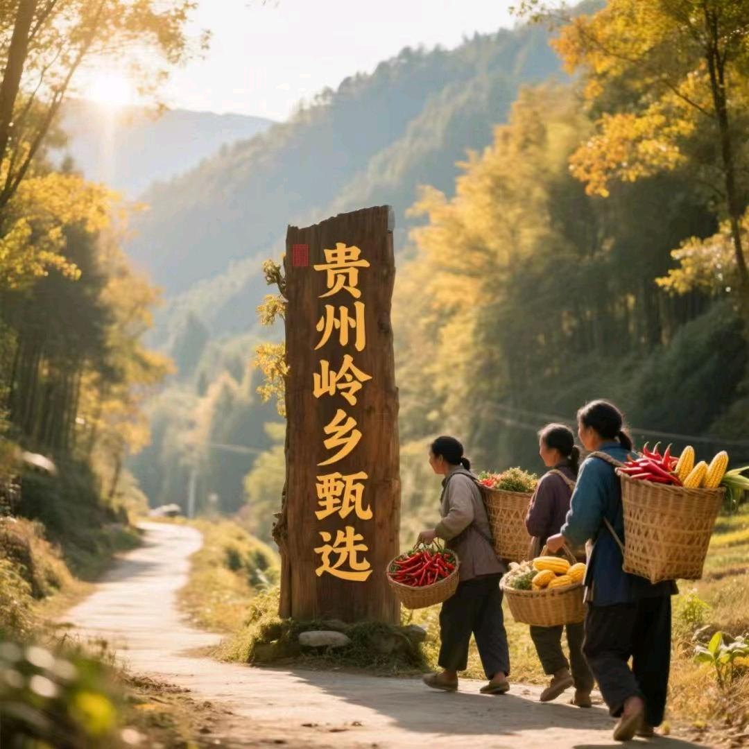 贵州岭乡甄选