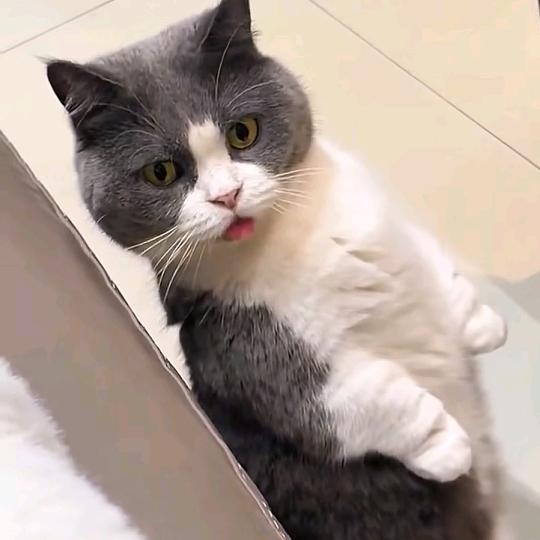 过期的回忆！
