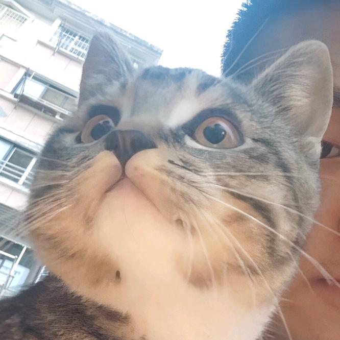 不学习就会死的病