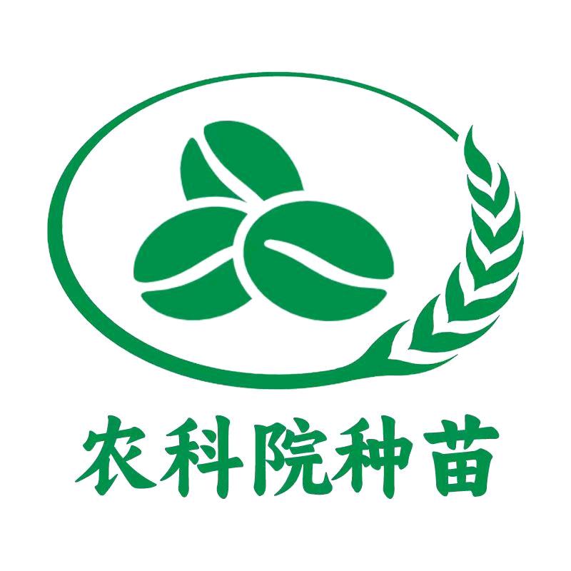 北京农科院种苗