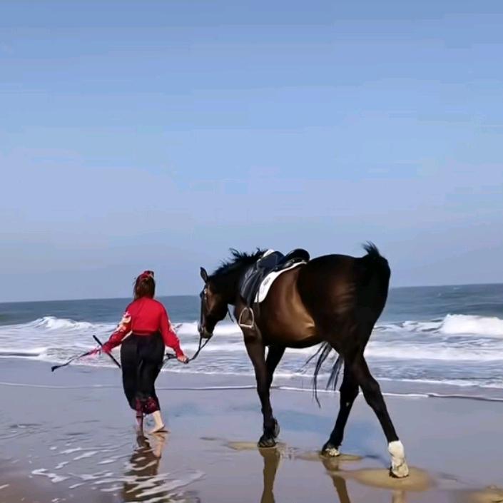 十里金滩泊隐