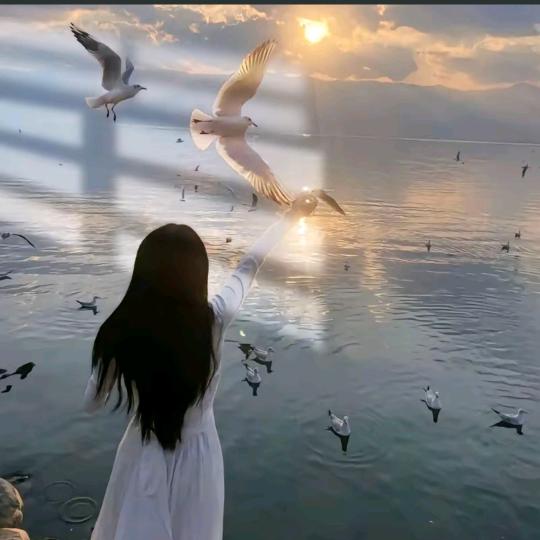 若然。