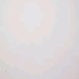 不同不同