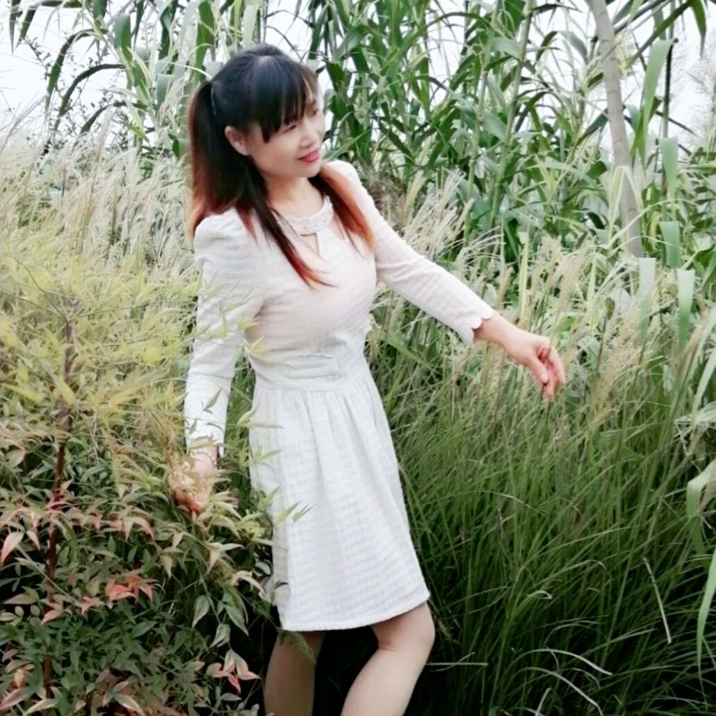 草原梦