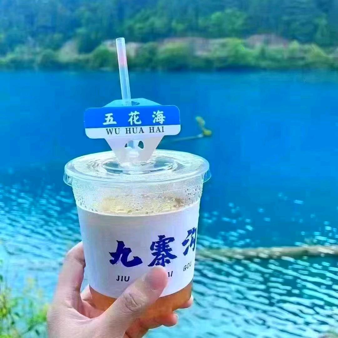 币公子SOL