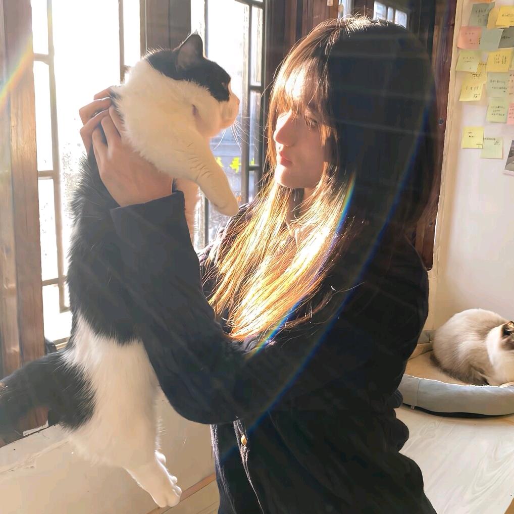 睡不着的泡泡糖：💤