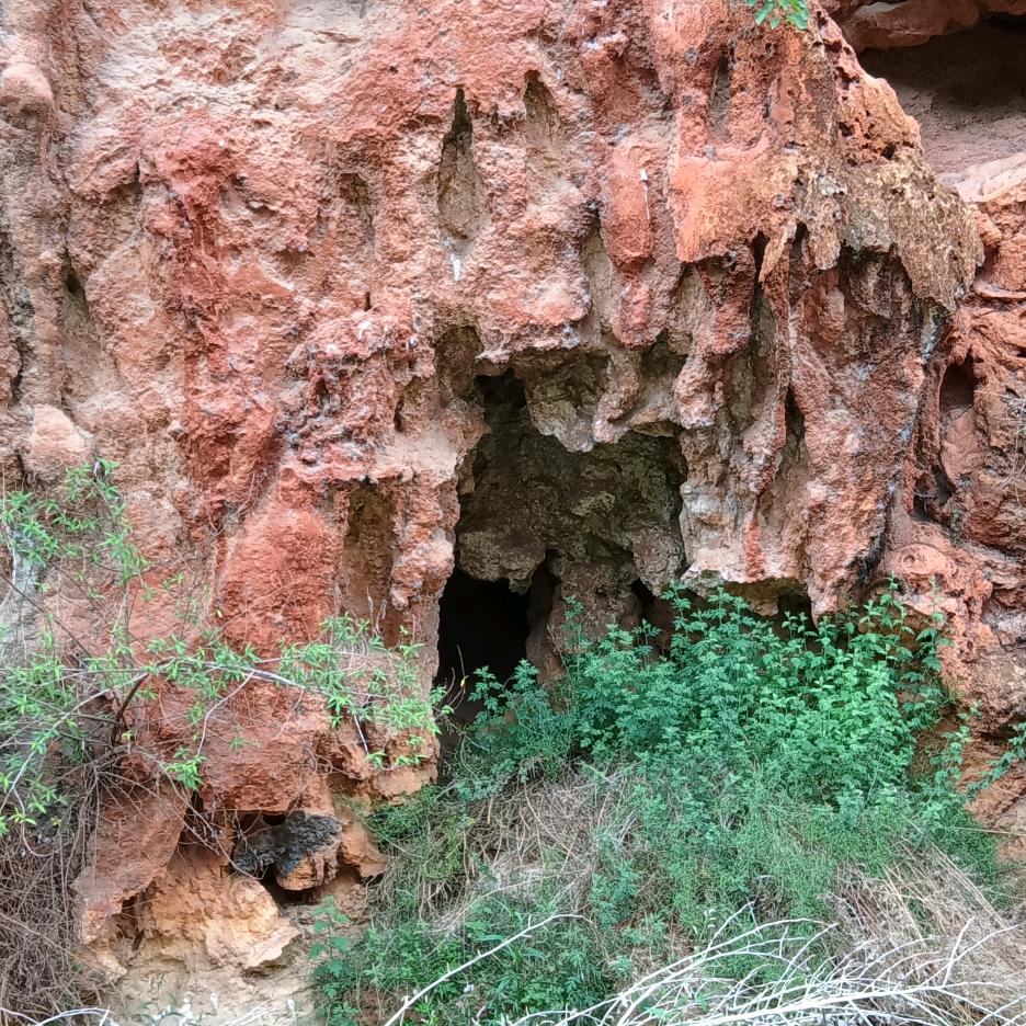 এ杯中烈酒໌ᮨ🚬敬余生🍶དྷ༗࿐