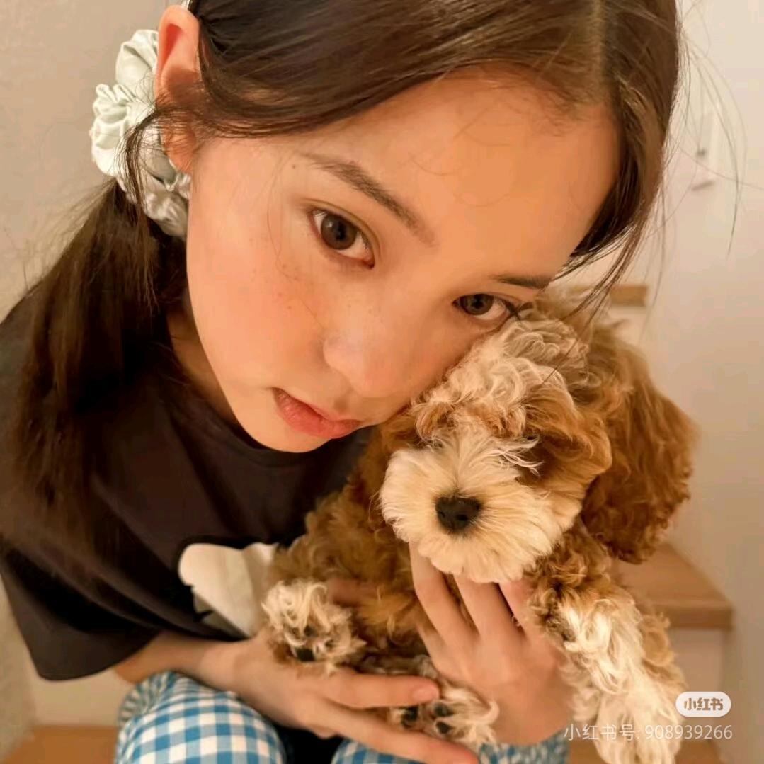 咩咩