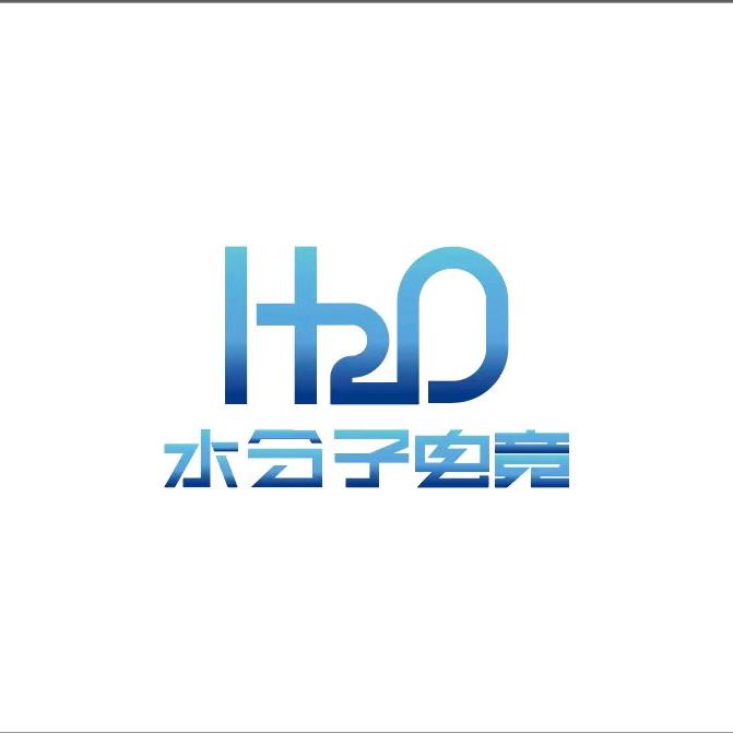 水分子电竞(三角洲行动)