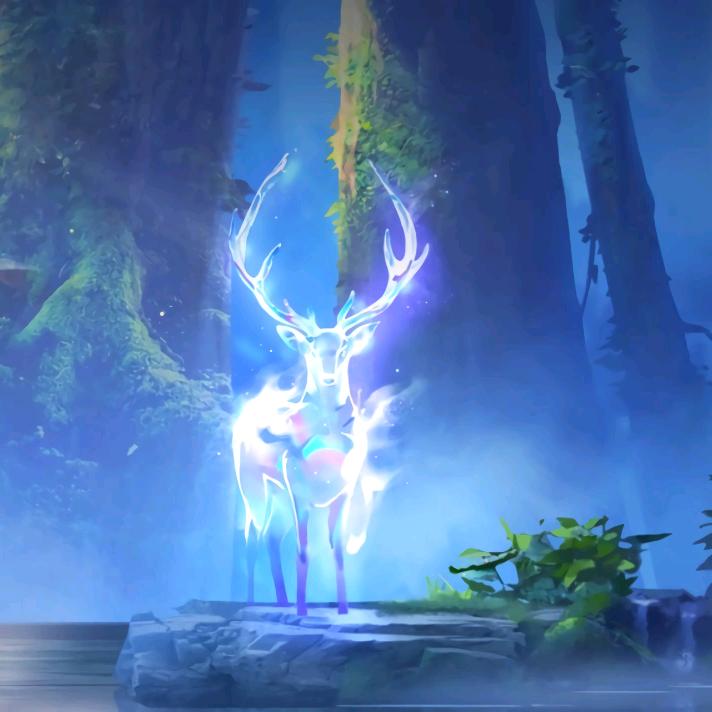 P.R.🦌