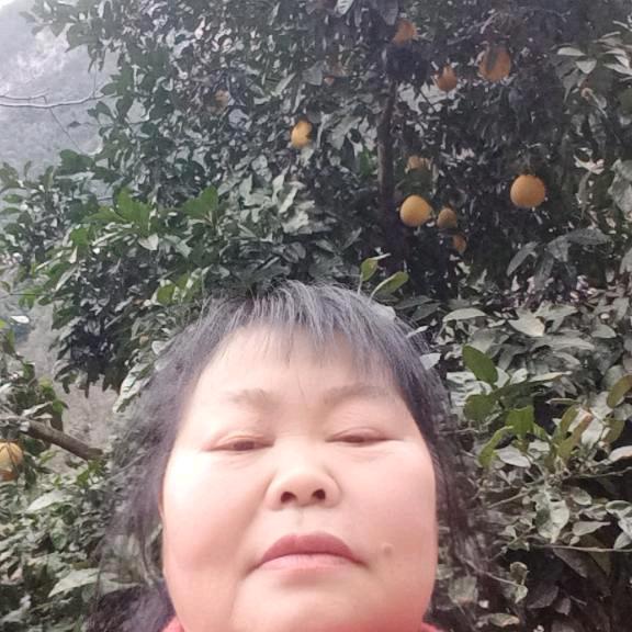农村代大姐