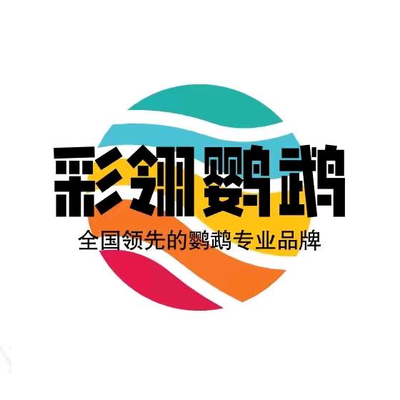 彩翎鹦鹉（林）