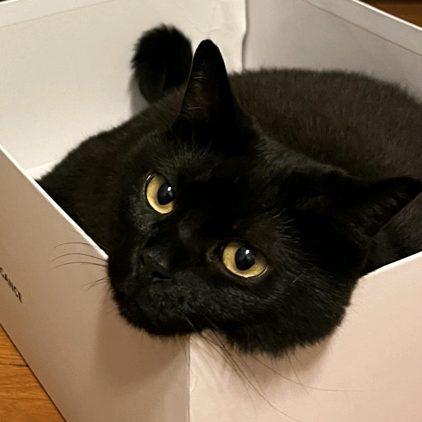 你就没有什么想说的吗