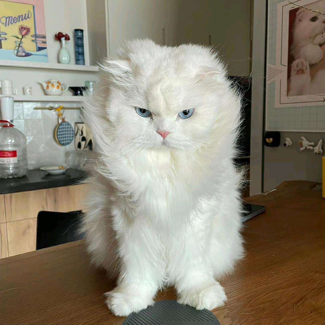 小辰