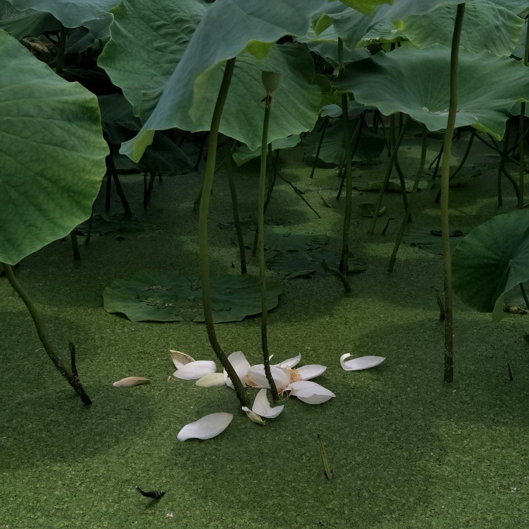 春一