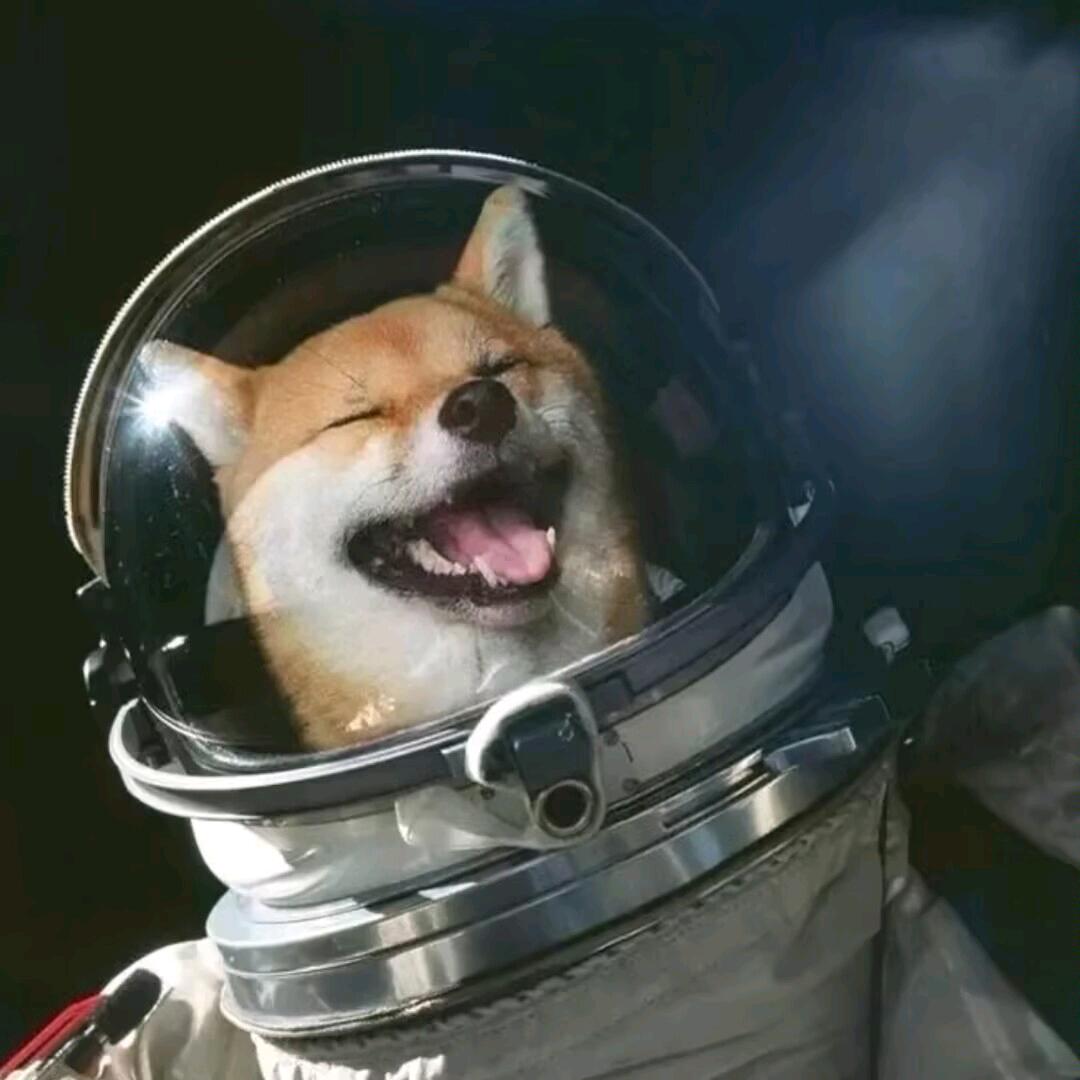 对方输入中...