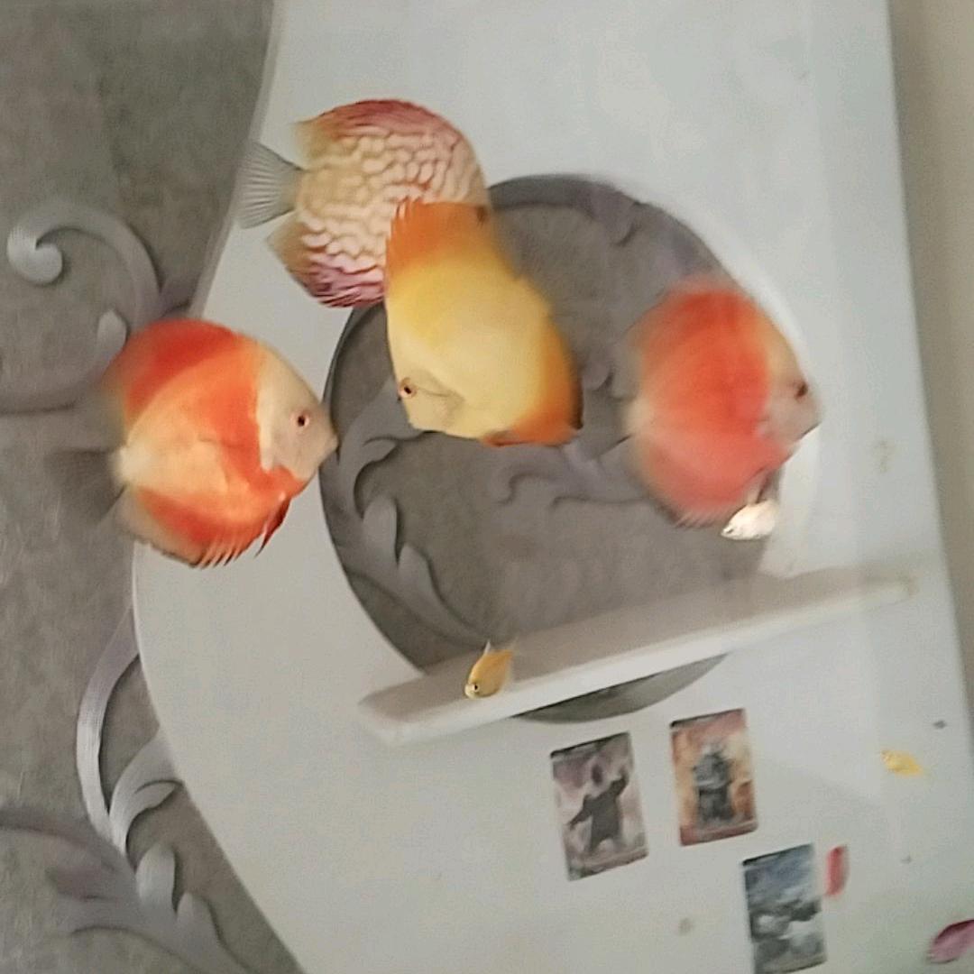清醒
